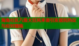 海角社区八级大狂风来袭引发居民热议与应对措施