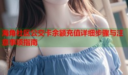 海角社区公交卡余额充值详细步骤与注意事项指南