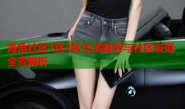 海角社区1区2区生活服务与社区发展全景解析