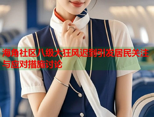 海角社区八级大狂风迟到引发居民关注与应对措施讨论