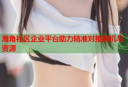 海角社区企业平台助力精准对接商机与资源