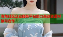 海角社区企业服务平台助力高效资源对接与合作
