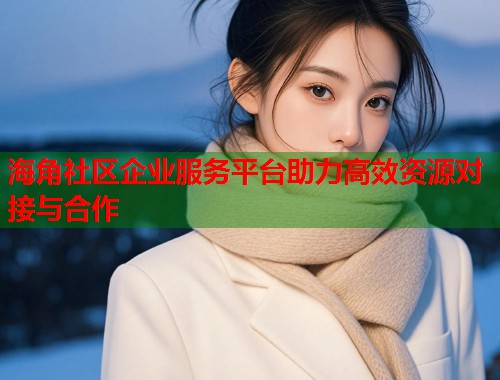 海角社区企业服务平台助力高效资源对接与合作